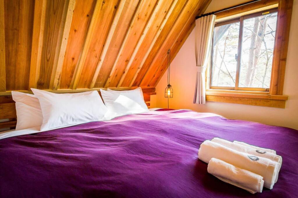 Misorano Chalet Hakuba Kültér fotó