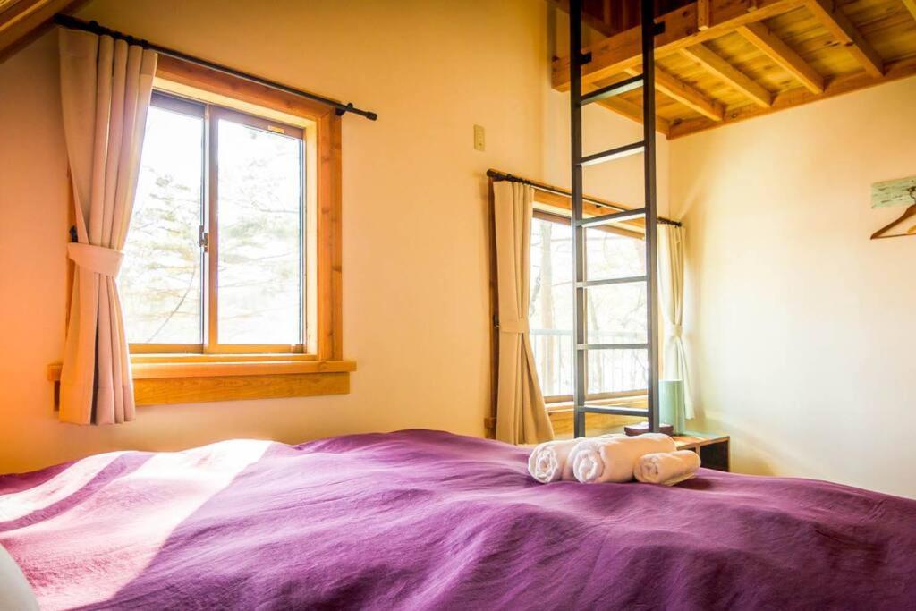Misorano Chalet Hakuba Kültér fotó