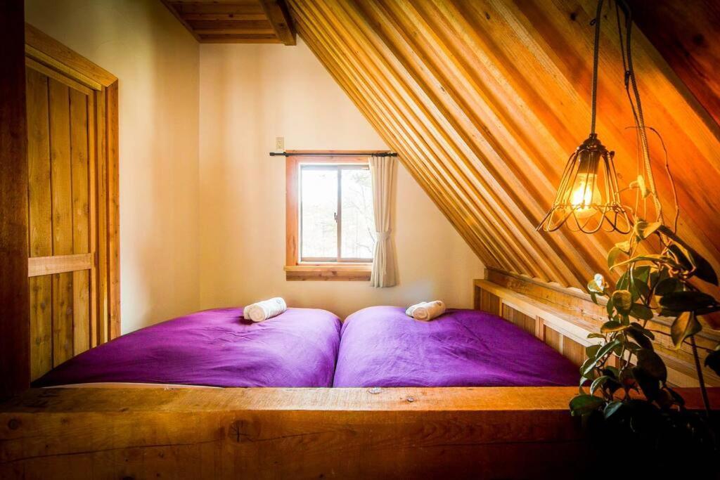 Misorano Chalet Hakuba Kültér fotó